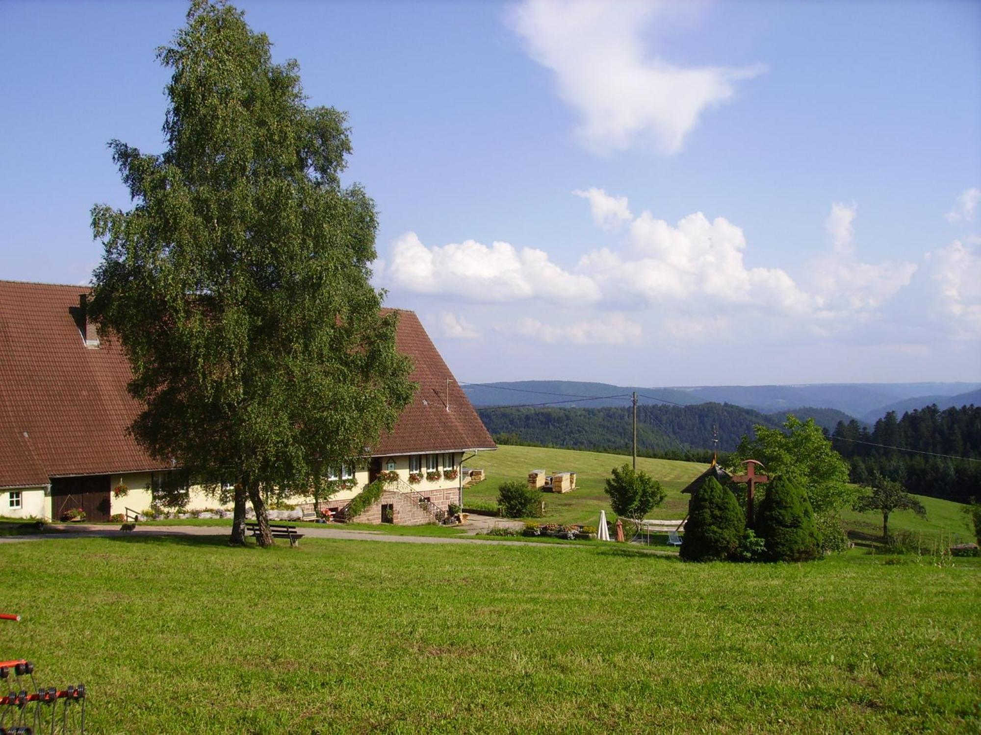 Aeckerhof Villa Wolfach Exterior foto